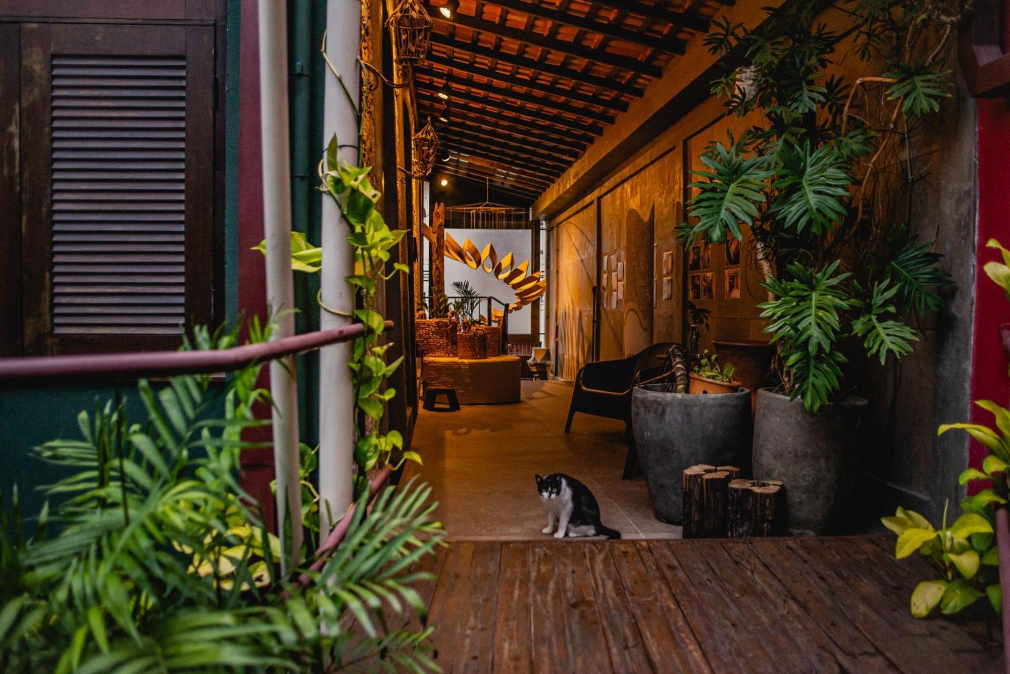 Cas'Amazonia Brasil Hotel Belem  Exterior photo